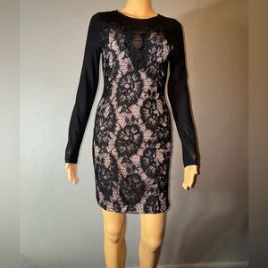 Elegant Black Lace mesh sleeve Dress